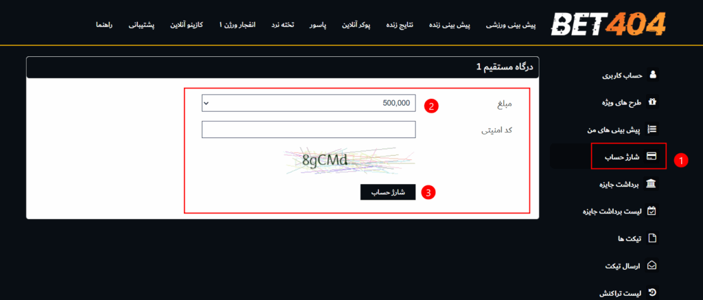 درگاه بت 404